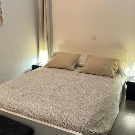 Apartament Aloe New Excellence