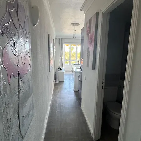 Aloe New Excellence * פלאייה דל אינגלז