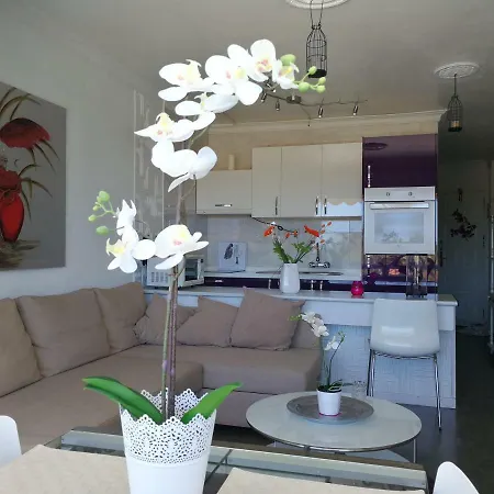 Apartament Aloe New Excellence