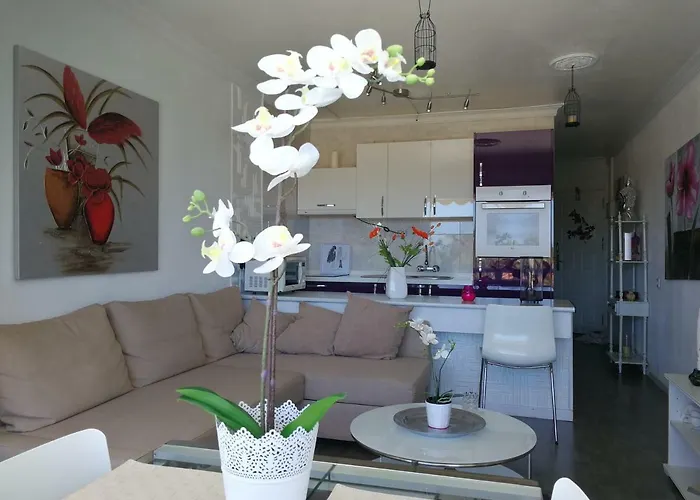 Апартаменти Aloe New Excellence