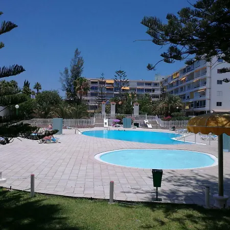 Aloe New Excellence *